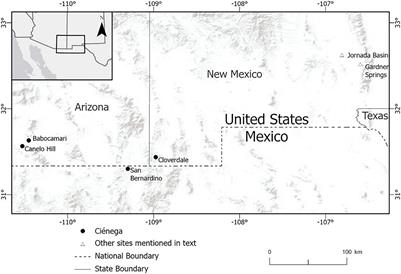 Interactions Among the Fire, Vegetation, the North American Monsoon and the El Niño-Southern Oscillation in the North American Desert Southwest